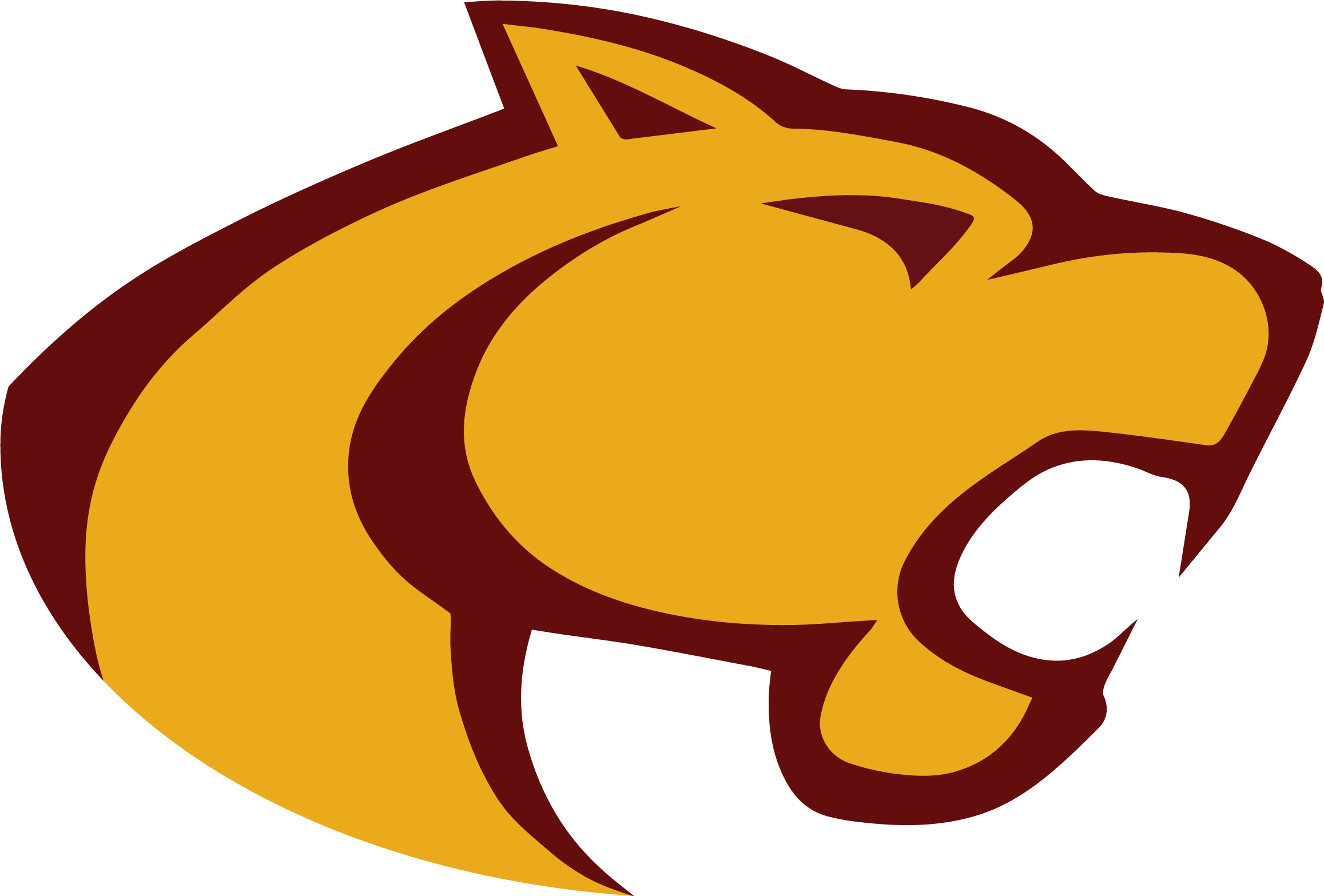 Oakton Cougars